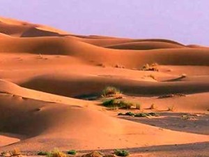 Зыбучие пески западного Эрга